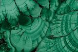 Polished Malachite Slab - Congo #220479-1